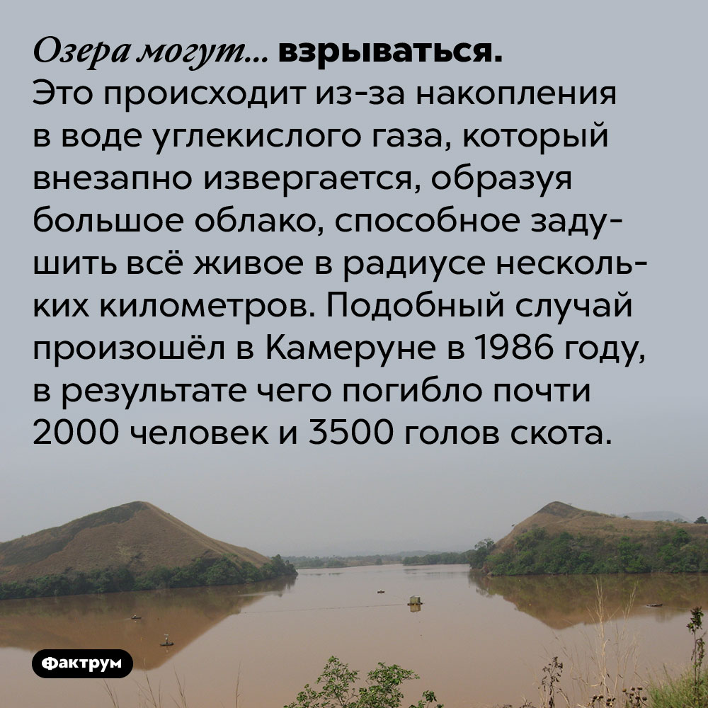 Иногда озёра взрываются. Озера могут… взрываться. Это происходит из-за накопления в воде углекислого газа, который внезапно извергается, образуя большое облако, способное задушить всё живое в радиусе нескольких километров. Подобный случай произошёл в Камеруне в 1986 году, в результате чего погибло почти 2000 человек и 3500 голов скота.