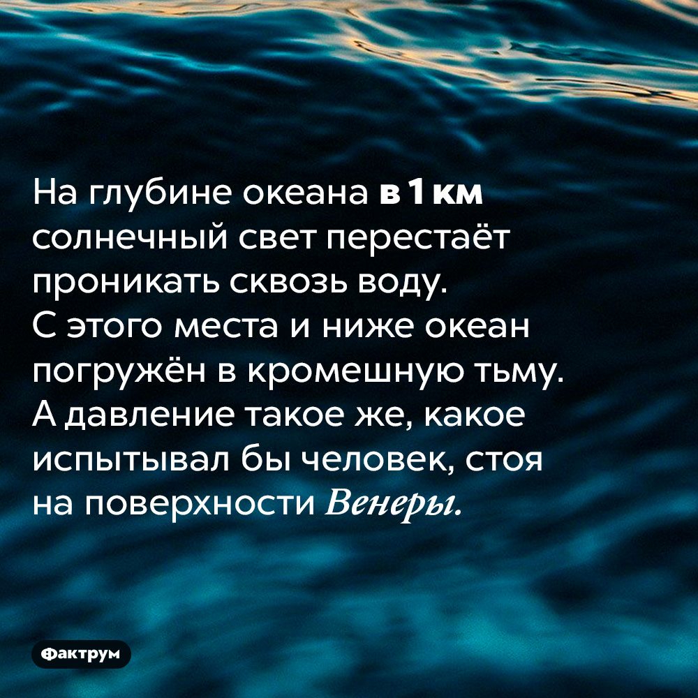 Солнечный свет проникает в океан только до глубины в 1000 м. На глубине океана в 1 км солнечный свет перестаёт проникать сквозь воду. С этого места и ниже океан погружён в кромешную тьму. А давление такое же, какое испытывал бы человек, стоя на поверхности Венеры.