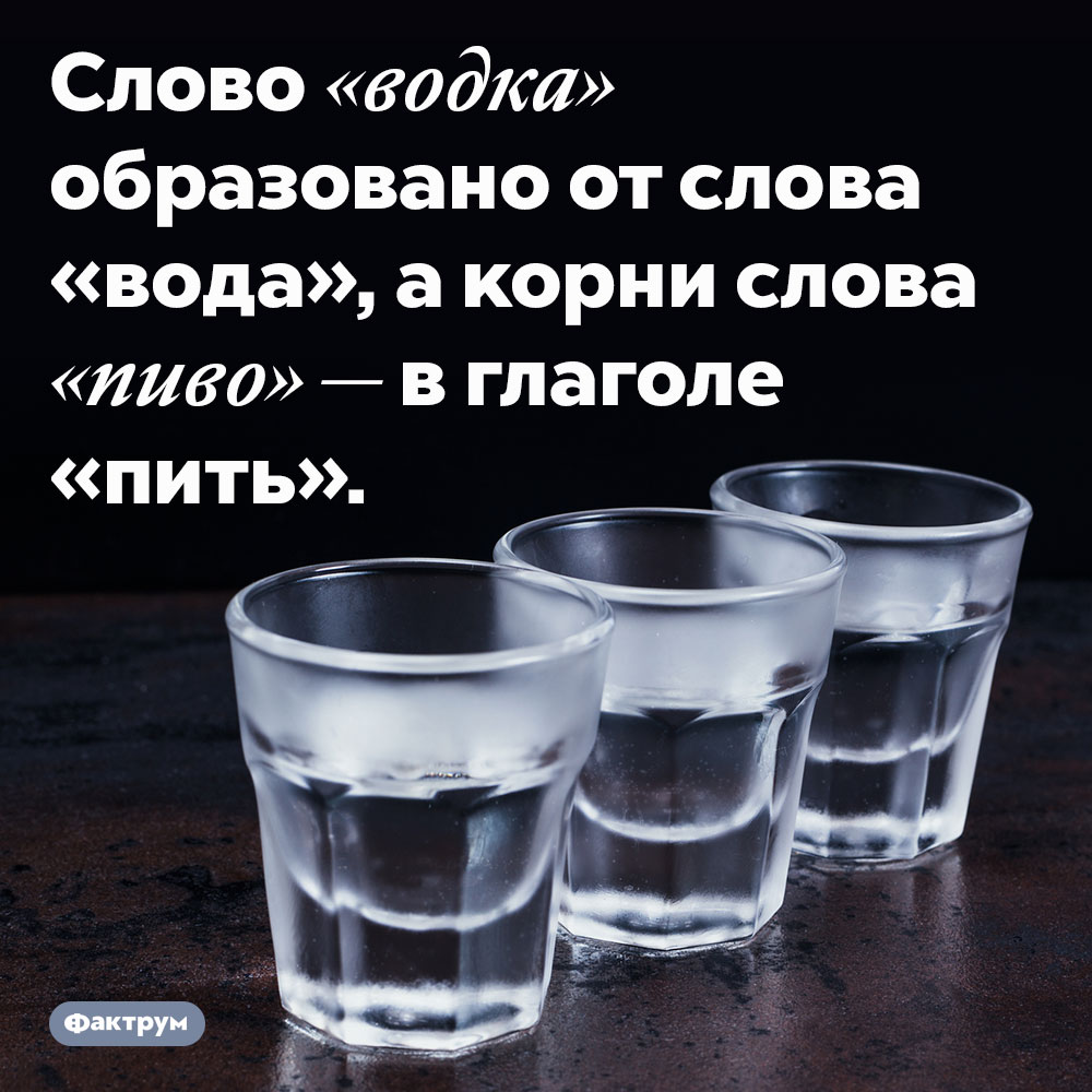 Слова «водка» и «пиво» связаны с водой и питьём. Слово «водка» образовано от слова «вода», а корни слова «пиво» — в глаголе «пить».