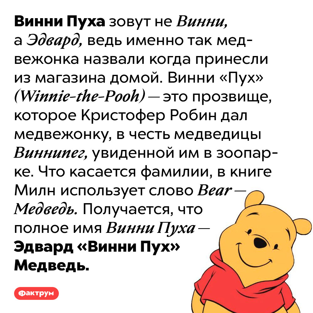 Винни Пуха зовут Эдвард Медведь. Винни Пуха зовут не Винни, а Эдвард, ведь именно так медвежонка назвали когда принесли из магазина домой. Винни «Пух» (Winnie-the-Pooh) — это прозвище, которое Кристофер Робин дал медвежонку, в честь медведицы Виннипег, увиденной им в зоопарке.
Что касается фамилии, в книге Милн использует слово Bear — Медведь. Получается, что полное имя Винни Пуха — Эдвард «Винни Пух» Медведь.