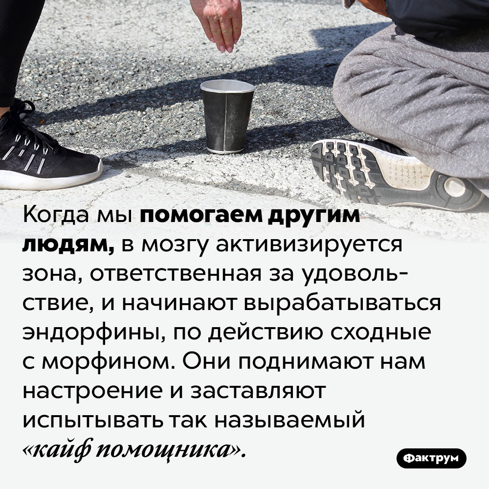 Помогая другим, мы испытываем «кайф помощника». Когда мы помогаем другим людям, в мозгу активизируется зона, ответственная за удовольствие, и начинают вырабатываться эндорфины, по действию сходные с морфином. Они поднимают нам настроение и заставляют испытывать так называемый «кайф помощника».