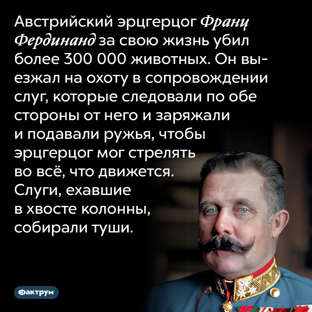 Франц Фердинанд за свою жизнь лишил жизни сотни тысяч животных. Австрийский эрцгерцог Франц Фердинанд за свою жизнь убил более 300 000 животных. Он выезжал на охоту в сопровождении слуг, которые следовали по обе стороны от него и заряжали и подавали ружья, чтобы эрцгерцог мог стрелять во всё, что движется. Слуги, ехавшие в хвосте колонны, собирали туши.