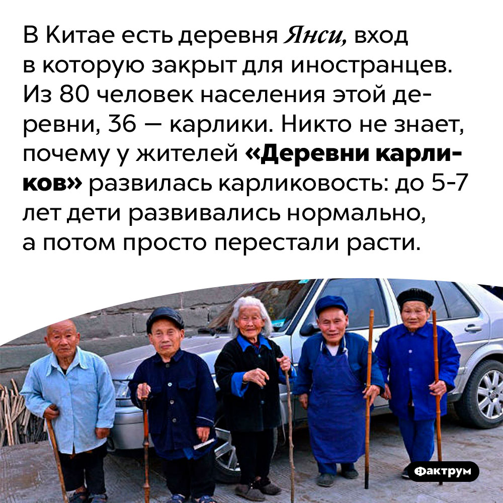 В Китае есть «Деревня карликов». В Китае есть деревня Янси, вход в которую закрыт для иностранцев. Из 80 человек населения этой деревни, 36 — карлики. Никто не знает, почему у жителей «Деревни карликов» развилась карликовость: до 5-7 лет дети развивались нормально, а потом просто перестали расти.