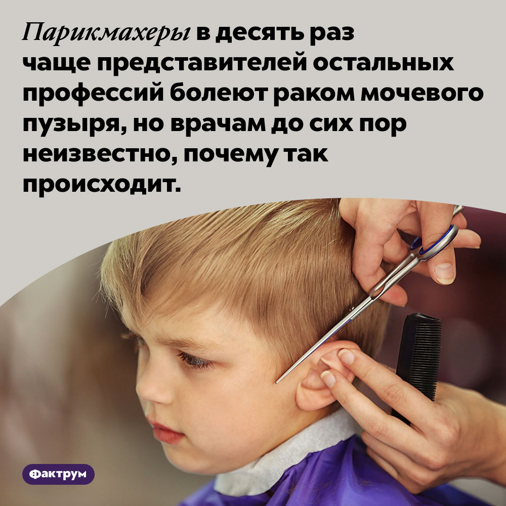 Для парикмахеров вероятность заболеть раком мочевого пузыря в 10 раз выше. Парикмахеры в десять раз чаще представителей остальных профессий болеют раком мочевого пузыря, но врачам до сих пор неизвестно, почему так происходит.