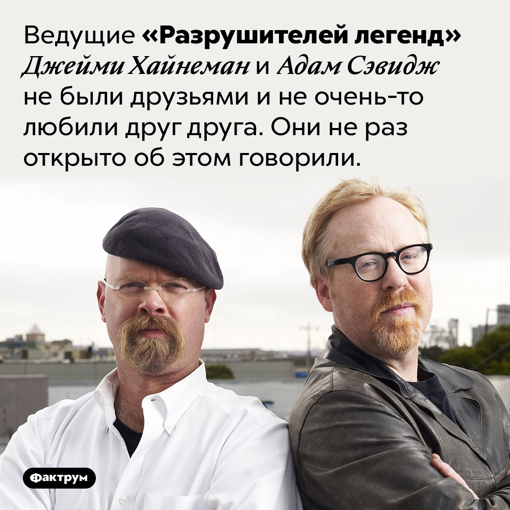 Ведущие «Разрушителей легенд» не были друзьями. Ведущие «Разрушителей легенд» Джейми Хайнеман и Адам Сэвидж не были друзьями и не очень-то любили друг друга. Они не раз открыто об этом говорили.