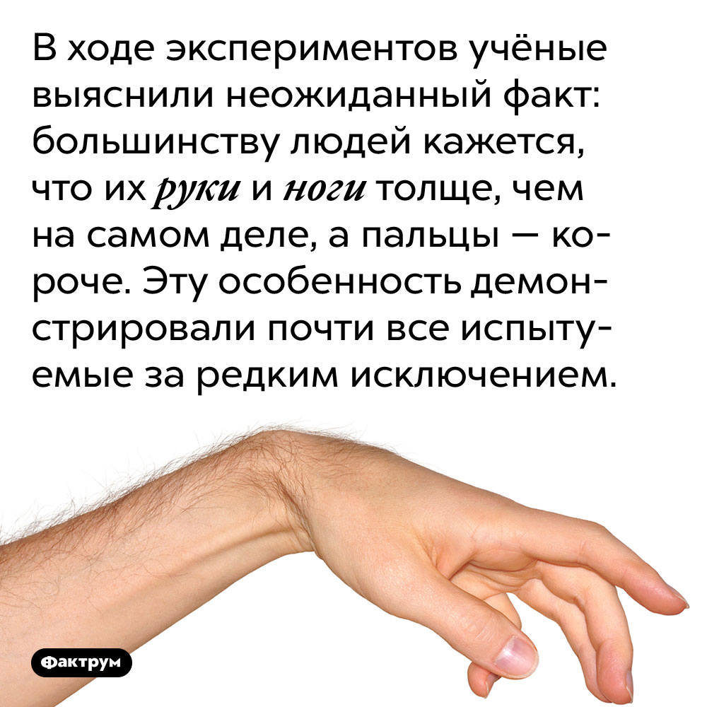 Людям кажется, что их руки и ноги толще, чем есть на самом деле. В ходе экспериментов учёные выяснили неожиданный факт: большинству людей кажется, что их руки и ноги толще, чем на самом деле, а пальцы — короче. Эту особенность демонстрировали почти все испытуемые за редким исключением.