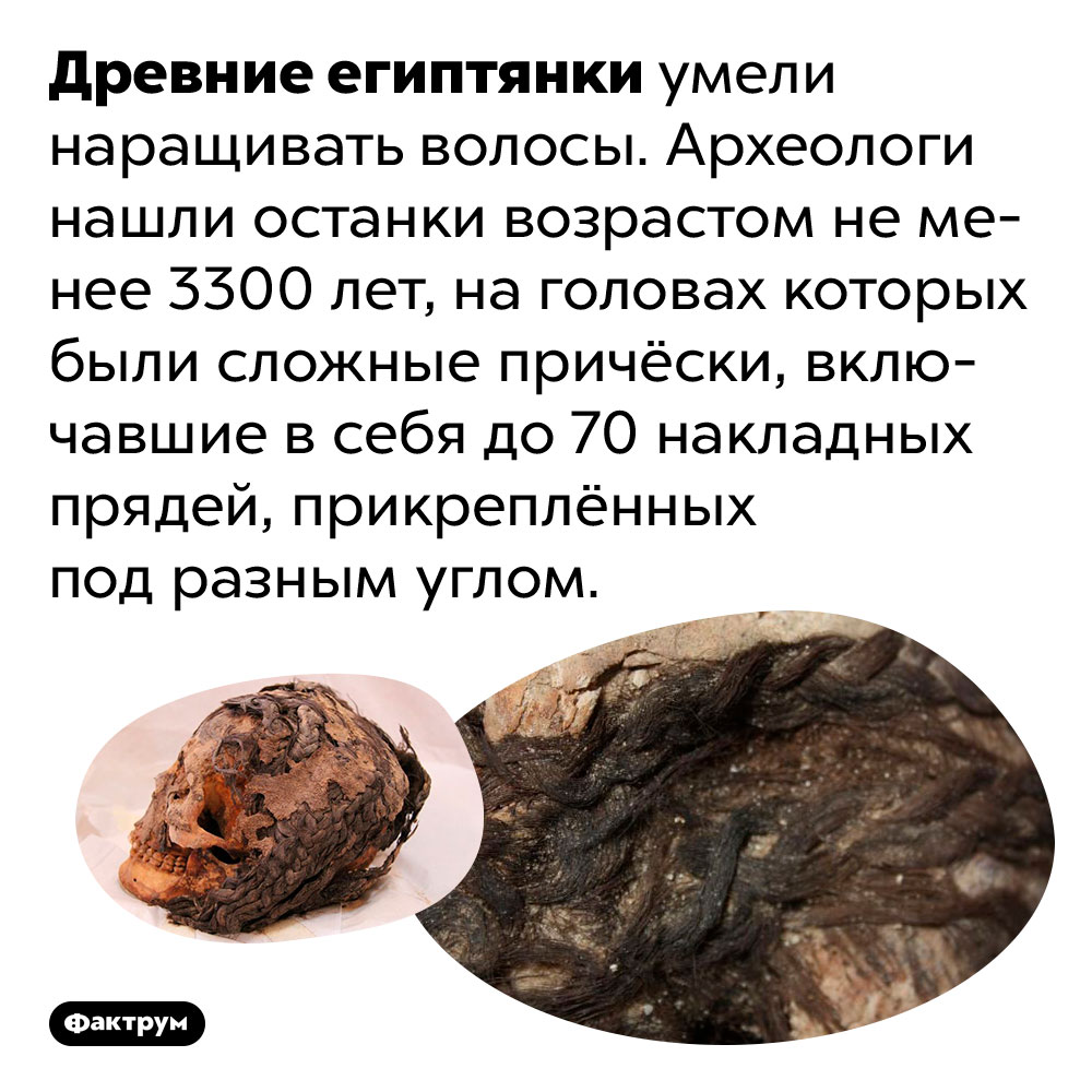 старые волосатые 