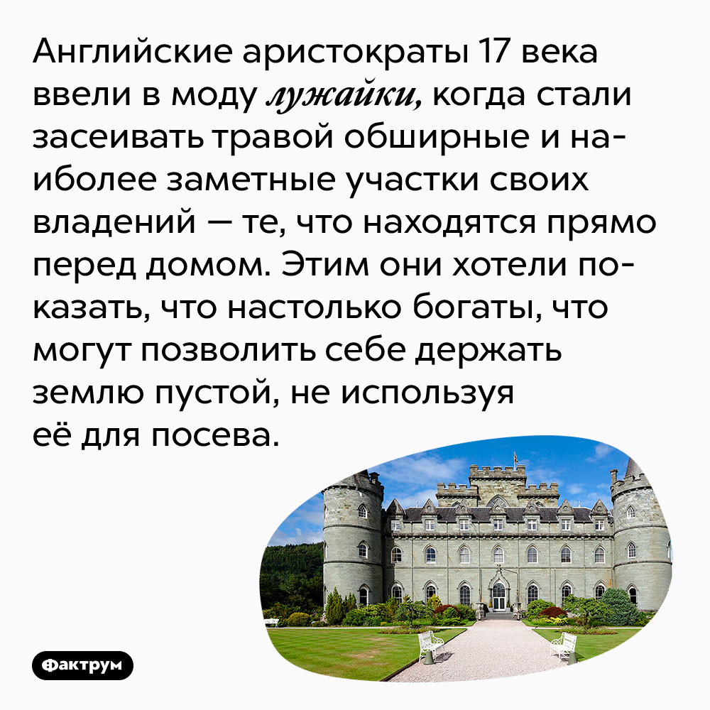 Моду на лужайки ввели английские аристократы, хваставшиеся своими владениями. Английские аристократы 17 века ввели в моду лужайки, когда стали засеивать травой обширные и наиболее заметные участки своих владений — те, что находятся прямо перед домом. Этим они хотели показать, что настолько богаты, что могут позволить себе держать землю пустой, не используя её для посева.
