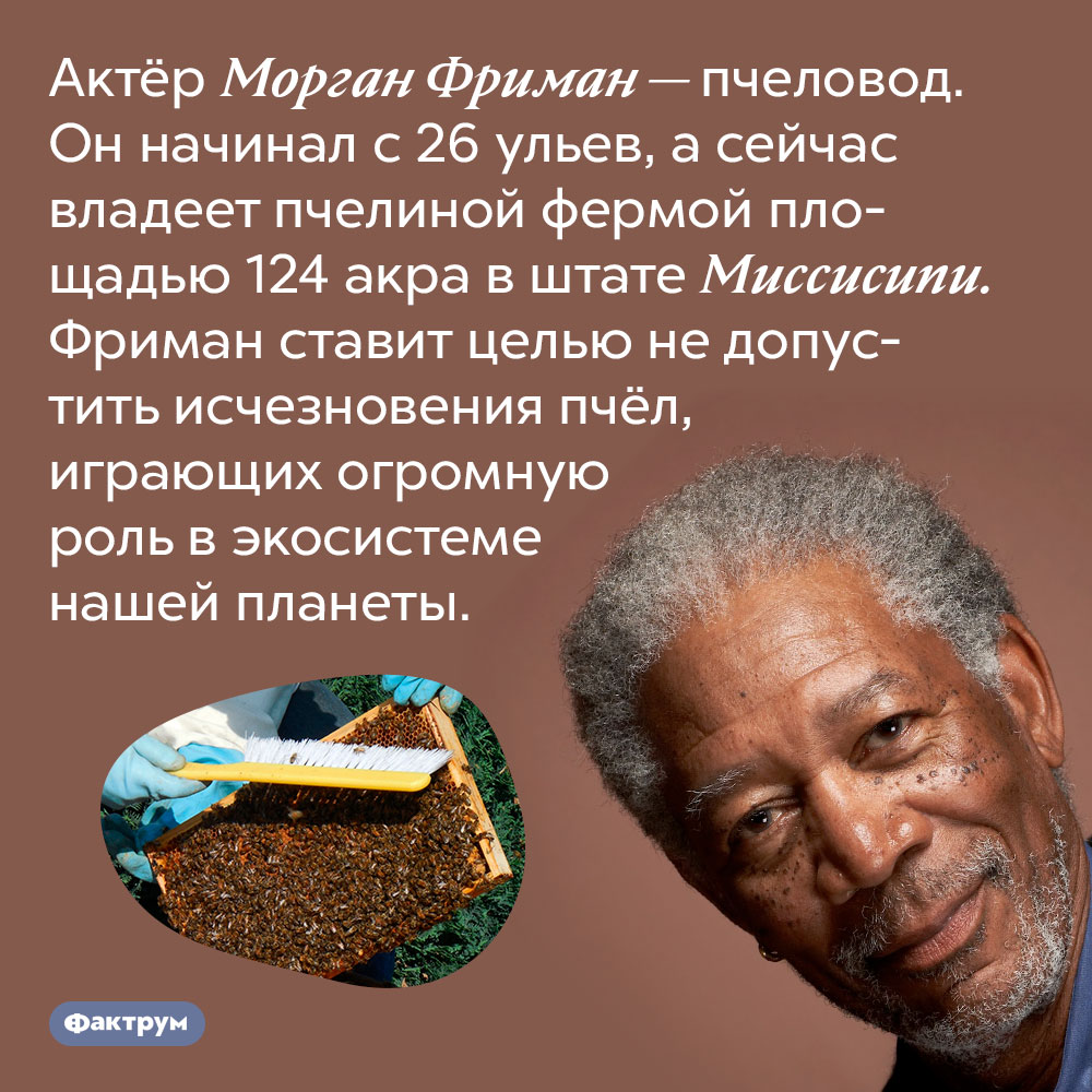 Морган Фриман спасает пчёл. Актёр Морган Фриман — пчеловод. Он начинал с 26 ульев, а сейчас владеет пчелиной фермой площадью 124 акра в штате Миссисипи. Фриман ставит целью не допустить исчезновения пчёл, играющих огромную роль в экосистеме нашей планеты.