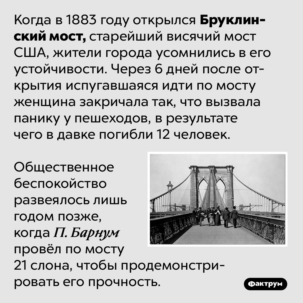 Бруклинский мост поначалу пугал людей. Когда в 1883 году открылся Бруклинский мост, старейший висячий мост США, жители города усомнились в его устойчивости. Через 6 дней после открытия испугавшаяся идти по мосту женщина закричала так, что вызвала панику у пешеходов, в результате чего в давке погибли 12 человек.
Общественное беспокойство развеялось лишь годом позже, когда П. Барнум провёл по мосту 21 слона, чтобы продемонстрировать его прочность.