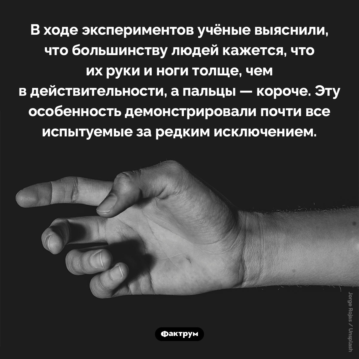 О восприятии людьми своего тела. В ходе экспериментов учёные выяснили неожиданный факт: большинству людей кажется, что их руки и ноги толще, чем на самом деле, а пальцы — короче. Эту особенность демонстрировали почти все испытуемые за редким исключением.