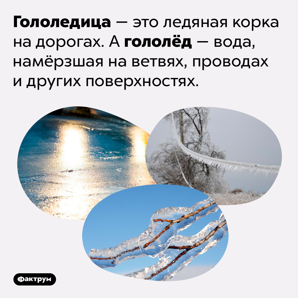 «Гололёд» и «гололедица» — это разные понятия. Гололедица — это ледяная корка на дорогах. А гололёд — вода, намёрзшая на ветвях, проводах и других поверхностях.