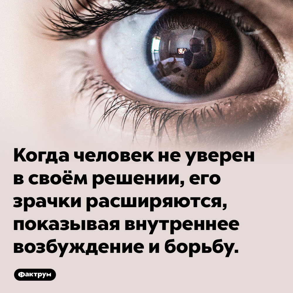 Если вы не уверены в своём решении, ваши зрачки расширяются. Когда человек не уверен в своём решении, его зрачки расширяются, показывая внутреннее возбуждение и борьбу.