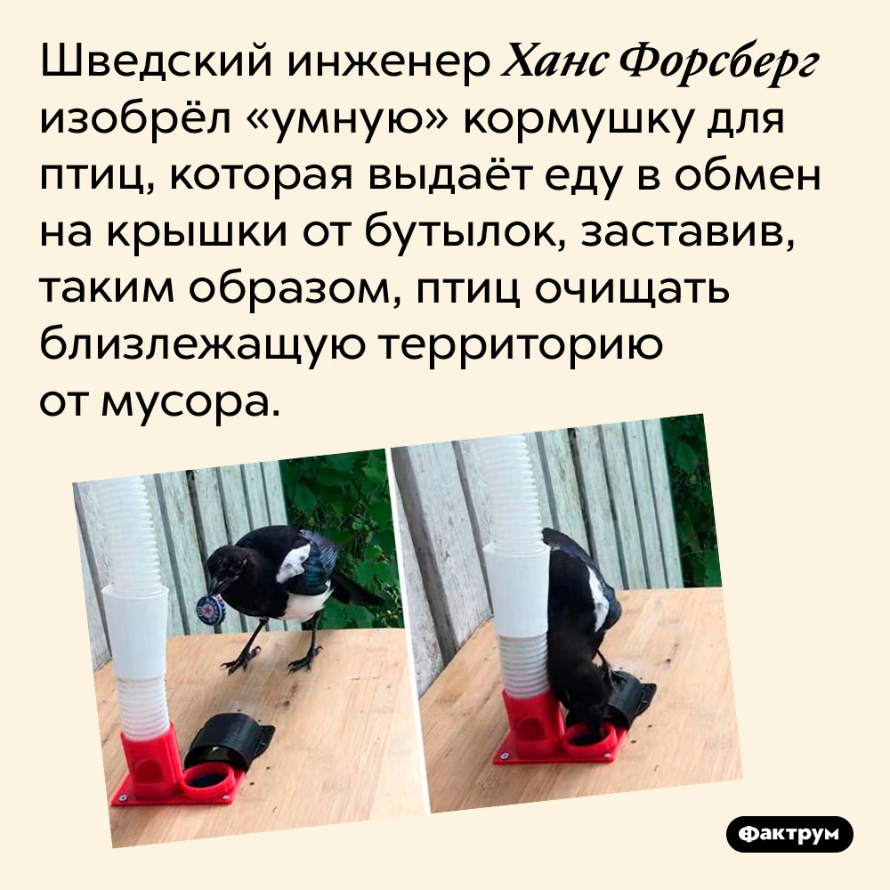 «Умная» кормушка заставляет птиц очищать улицу от мусора. Шведский инженер Ханс Форсберг изобрёл «умную» кормушку для птиц, которая выдаёт еду в обмен на крышки от бутылок, заставив, таким образом, птиц очищать близлежащую территорию от мусора.