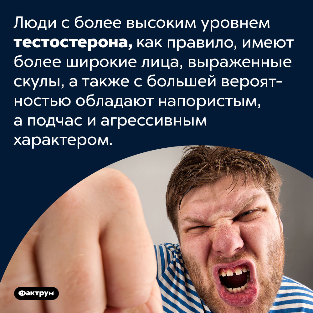 Лица людей с повышенным уровнем тестостерона шире и скуластее остальных. Люди с более высоким уровнем тестостерона, как правило, имеют более широкие лица, выраженные скулы, а также с большей вероятностью обладают напористым, а подчас и агрессивным характером.