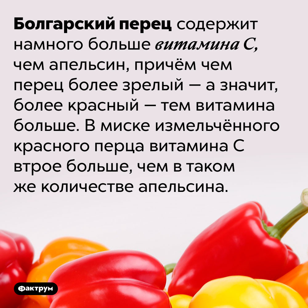 Болгарский перец богат витамином C. Болгарский перец содержит намного больше витамина С, чем апельсин, причём чем перец более зрелый — а значит, более красный — тем витамина больше. В миске измельчённого красного перца витамина С втрое больше, чем в таком же количестве апельсина.