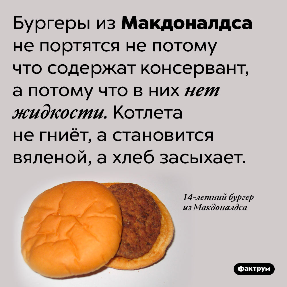 Бургеры из Макдоналдса не портятся потому что в них нет жидкости. Бургеры из Макдоналдса не портятся не потому что содержат консервант, а потому что в них нет жидкости. Котлета не гниёт, а становится вяленой, а хлеб засыхает.