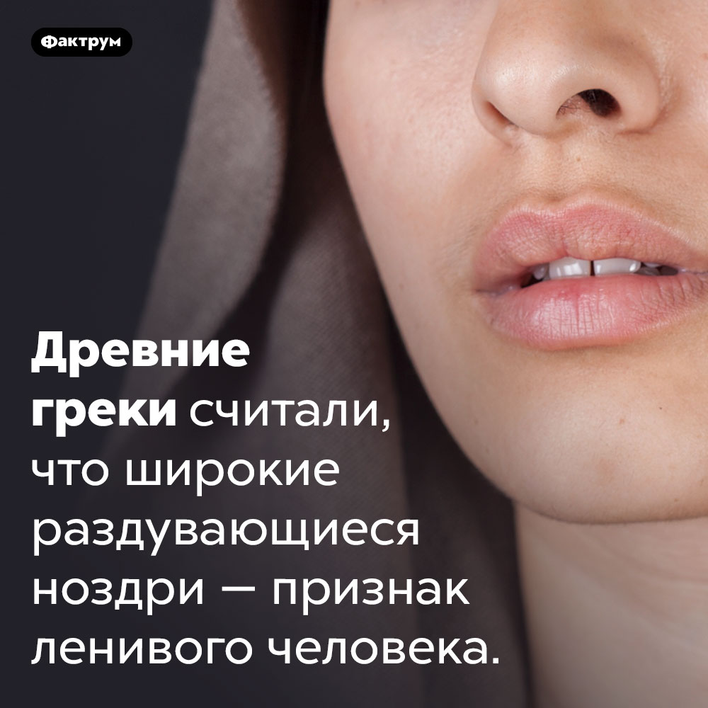 В Древней Греции считалось, что люди с широкими ноздрями ленивые. Древние греки считали, что широкие раздувающиеся ноздри — признак ленивого человека.