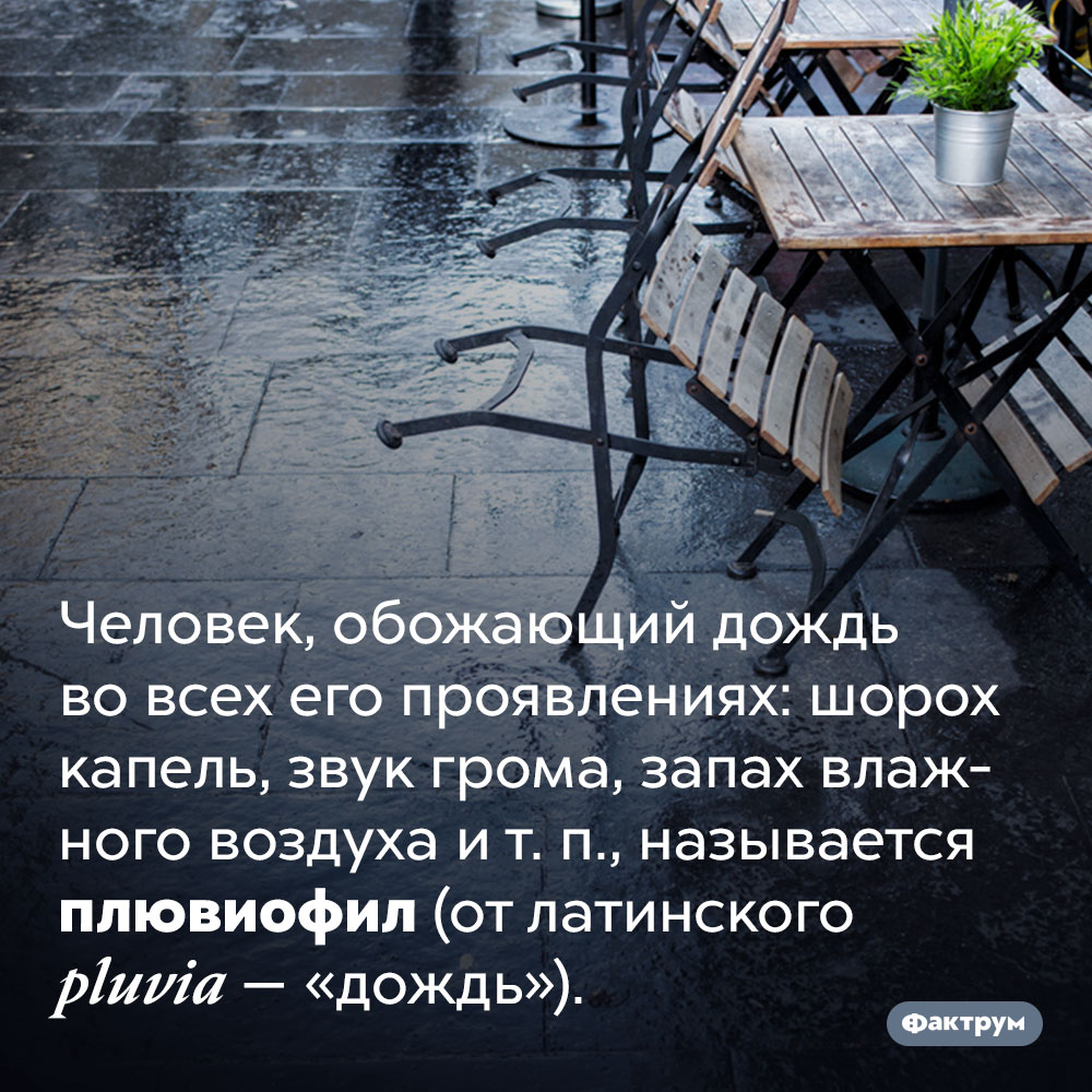 Человек, очень любящий дождь, называется «плювиофил». Человек, обожающий дождь во всех его проявлениях: шорох капель, звук грома, запах влажного воздуха и т. п., называется плювиофил (от латинского pluvia — «дождь»).