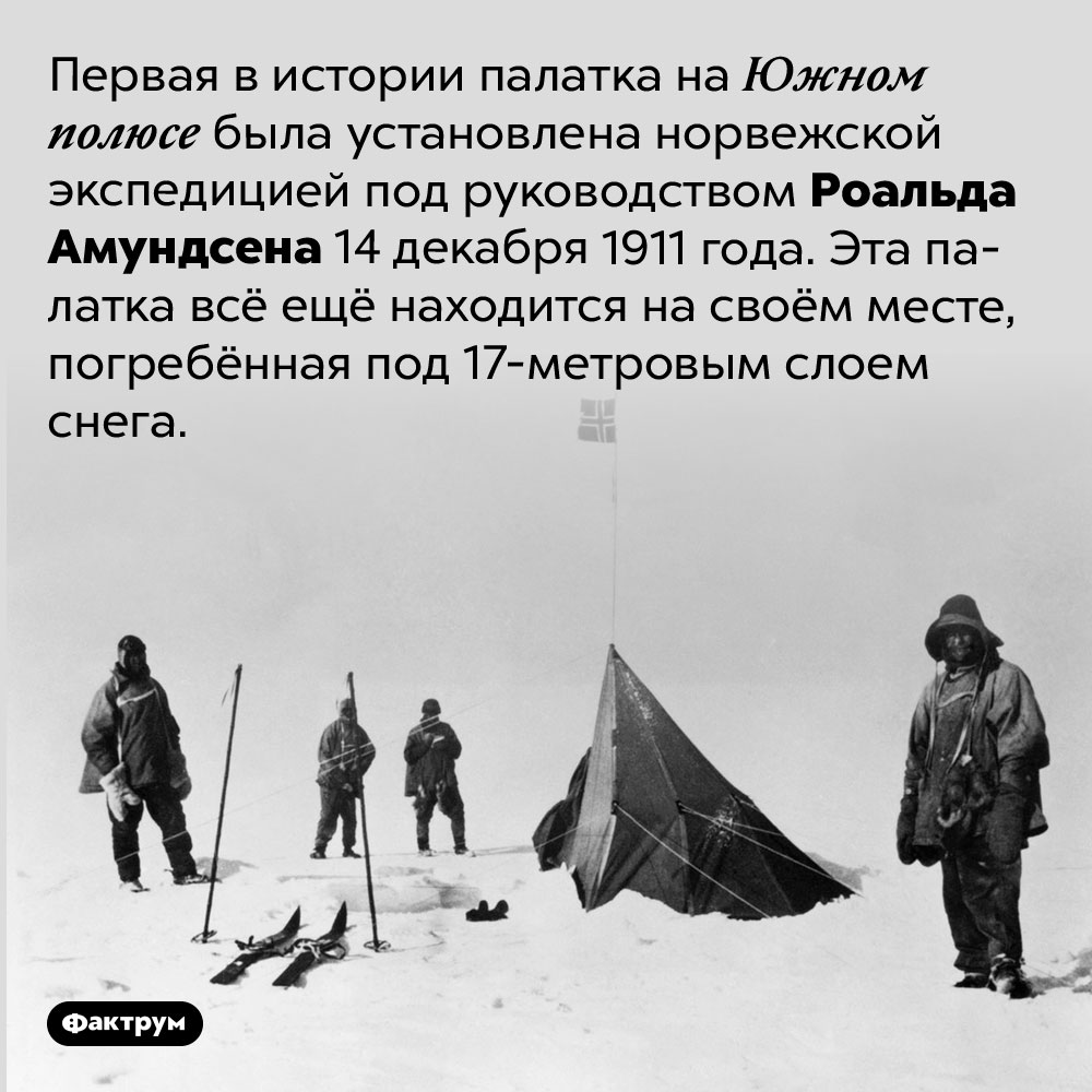 Первая в истории палатка на Южном полюсе стоит там уже более ста лет. Первая в истории палатка на Южном полюсе была установлена норвежской экспедицией под руководством Роальда Амундсена 14 декабря 1911 года. Эта палатка всё ещё находится на своём месте, погребённая под 17-метровым слоем снега.