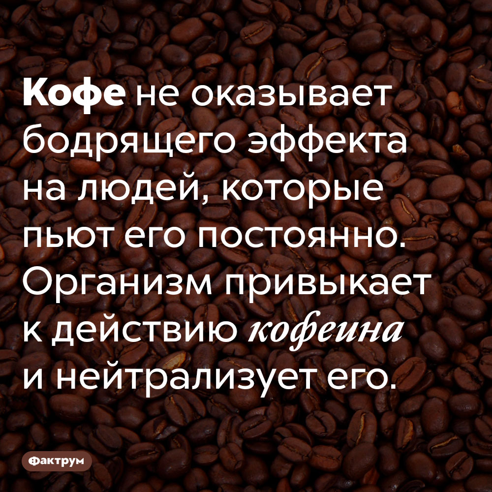 Интересные факты о кофе в картинках