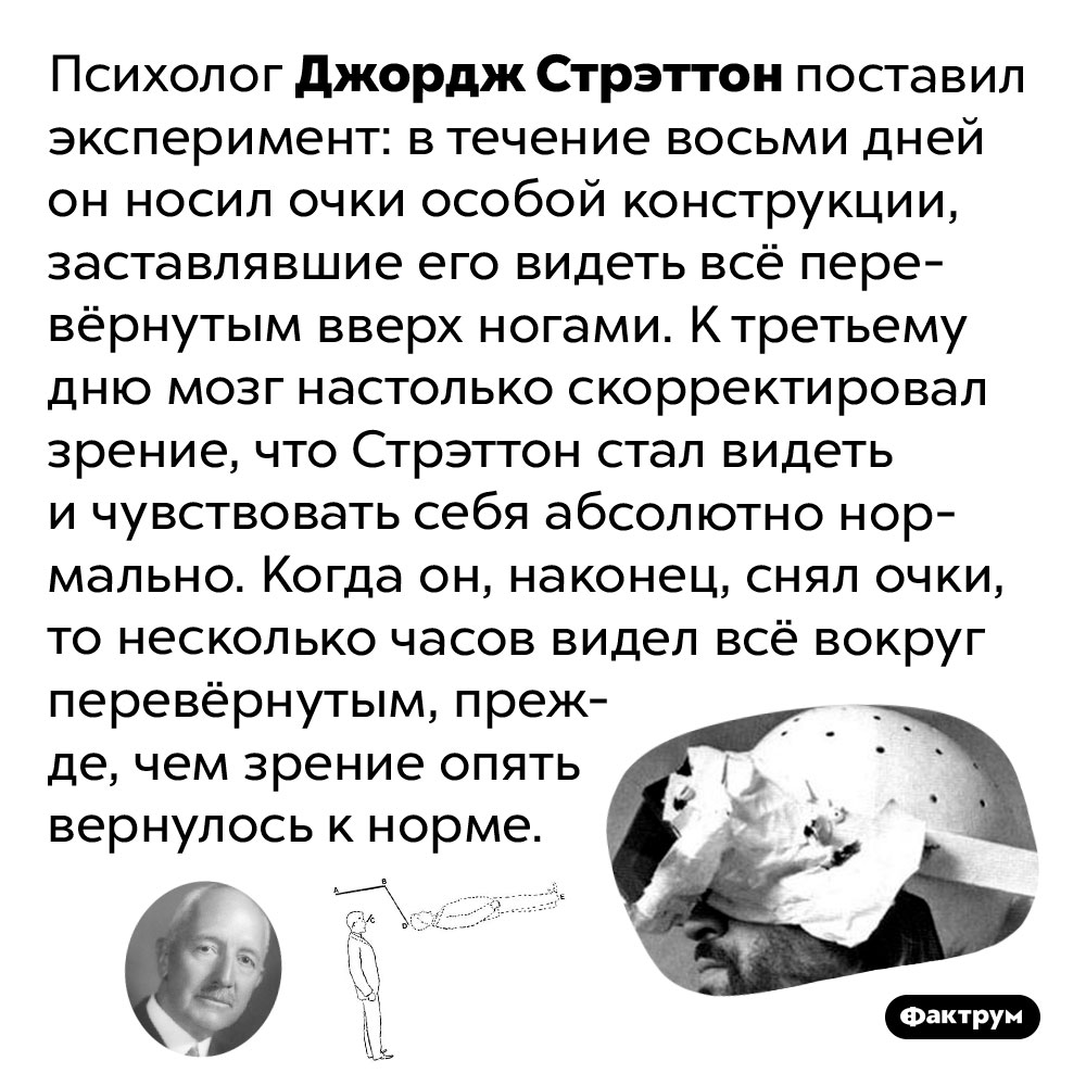 Мозг способен усваивать перевёрнутое изображение как нормальное. Психолог Джордж Стрэттон поставил эксперимент: в течение восьми дней он носил очки с линзами, заставлявшими его видеть всё перевёрнутым вверх ногами. К третьему дню мозг настолько скорректировал зрение, что Стрэттон стал видеть и чувствовать себя абсолютно нормально. Когда он, наконец, снял очки, то несколько часов видел всё вокруг перевёрнутым, прежде, чем зрение опять вернулось к норме.