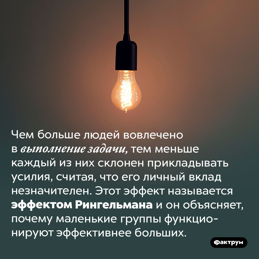 Чем больше людей работают над выполнением задачи, тем хуже она выполняется. Чем больше людей вовлечено в выполнение задачи, тем меньше каждый из них склонен прикладывать усилия, считая, что его личный вклад незначителен. Этот эффект называется эффектом Рингельмана и он объясняет, почему маленькие группы функционируют эффективнее больших.