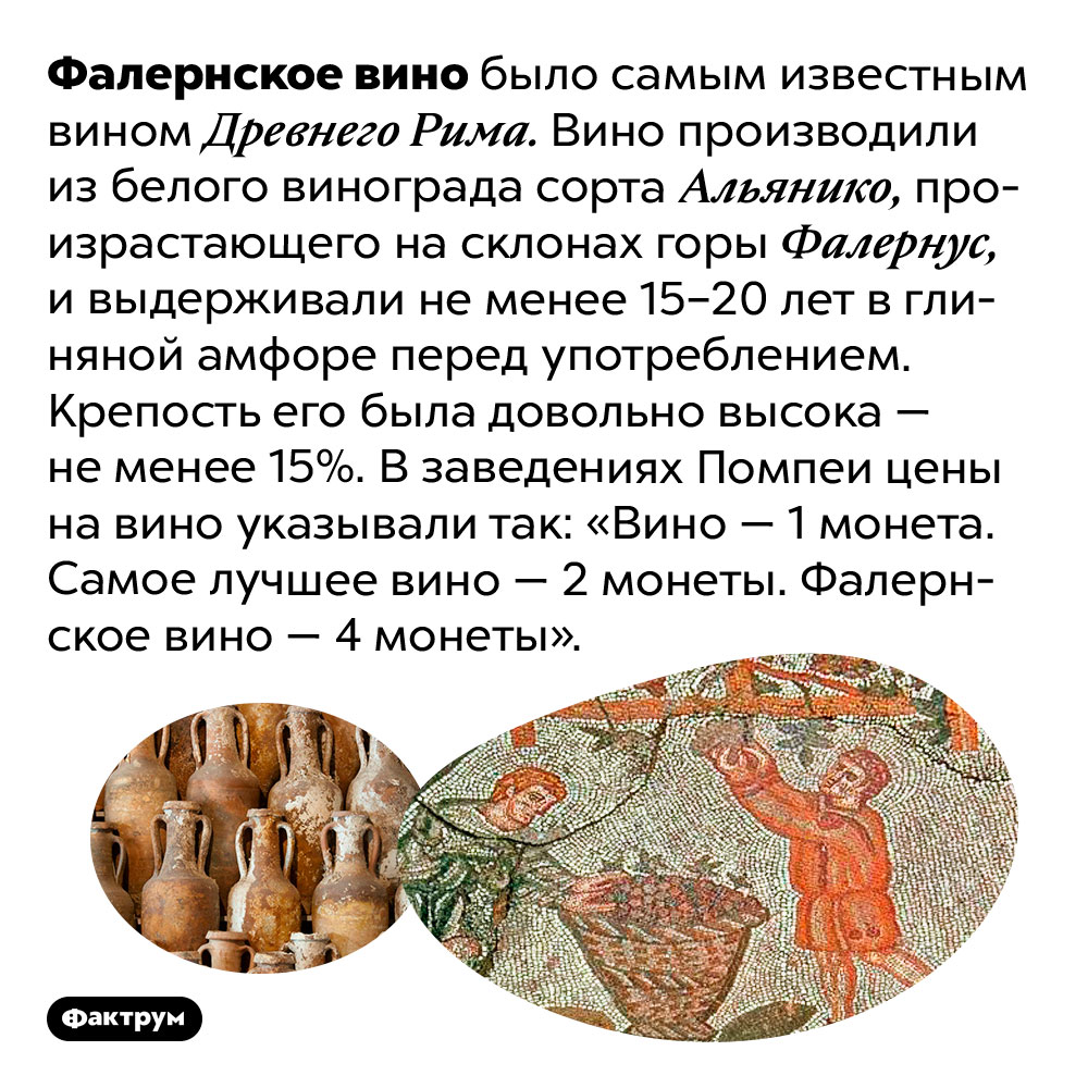 Фалернское вино было самым культовым вином Древнего Рима. Фалернское вино было самым известным вином Древнего Рима. Вино производили из белого винограда сорта Альянико, произрастающего на склонах горы Фалернус, и выдерживали не менее 15–20 лет в глиняной амфоре перед употреблением. Крепость его была довольно высока — не менее 15%. В заведениях Помпеи цены на вино указывали так: «Вино — 1 монета. Самое лучшее вино — 2 монеты. Фалернское вино — 4 монеты».