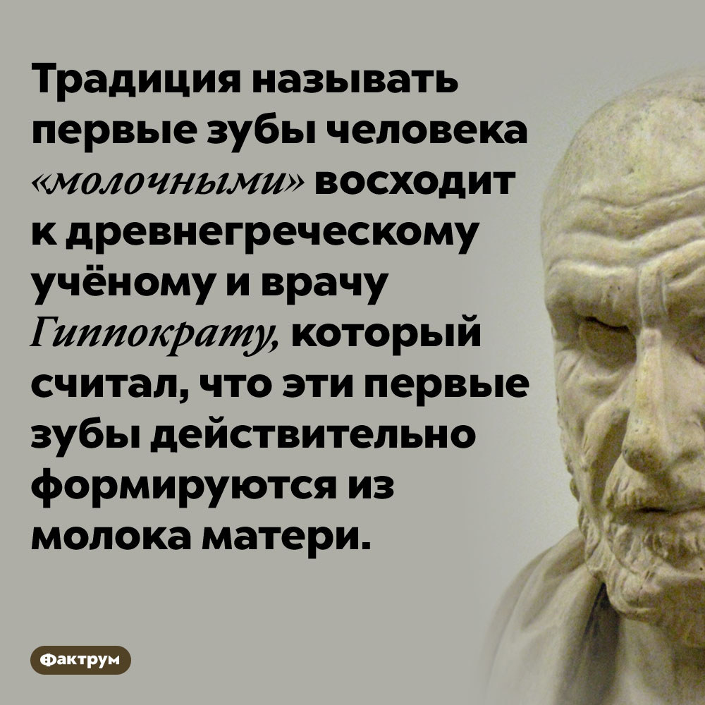 Гиппократ считал, что молочные зубы появляются из молока
