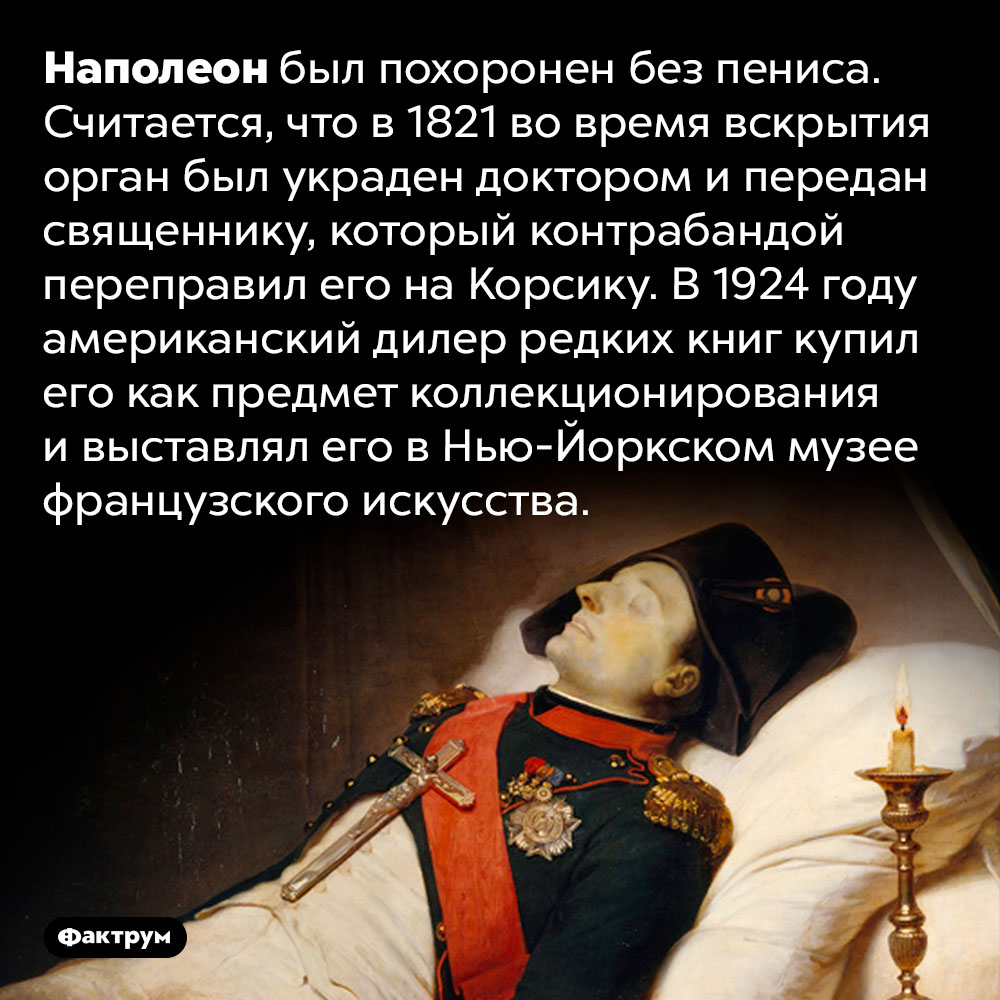 Наполеона похоронили без пениса. Наполеон был похоронен без пениса. Считается, что в 1821 во время вскрытия орган был украден доктором и передан священнику, который контрабандой переправил его на Корсику. В 1924 году американский дилер редких книг купил его как предмет коллекционирования и выставлял его в Нью-Йоркском музее французского искусства.