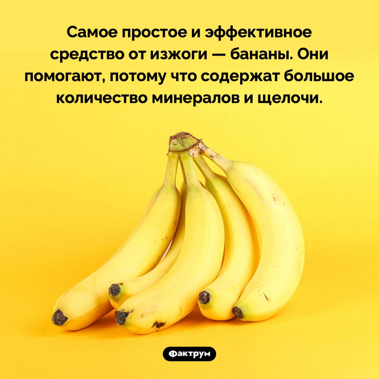Бананы помогают от изжоги. Самое простое и эффективное средство от изжоги — бананы. Они помогают, потому что содержат большое количество минералов и щелочи.