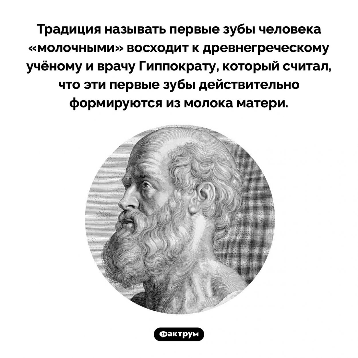 Гиппократ считал, что молочные зубы появляются из молока. Традиция называть первые зубы человека «молочными» восходит к древнегреческому учёному и врачу Гиппократу, который считал, что эти первые зубы действительно формируются из молока матери.