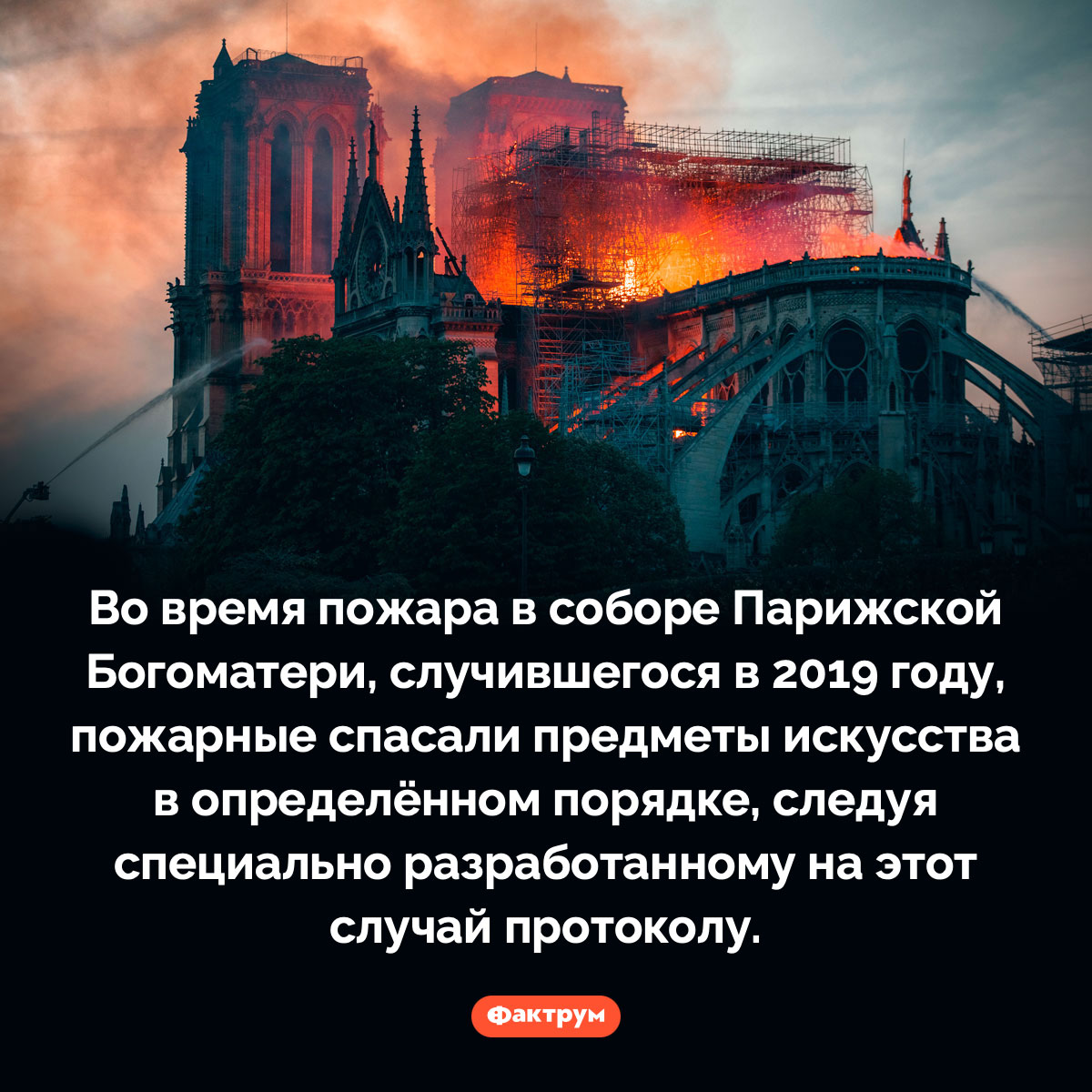 Специальный протокол, на случай пожара в соборе Парижской Богоматери. Во время пожара в соборе Парижской Богоматери, случившегося в 2019 году, пожарные спасали предметы искусства в определённом порядке, следуя специально разработанному на этот случай протоколу.