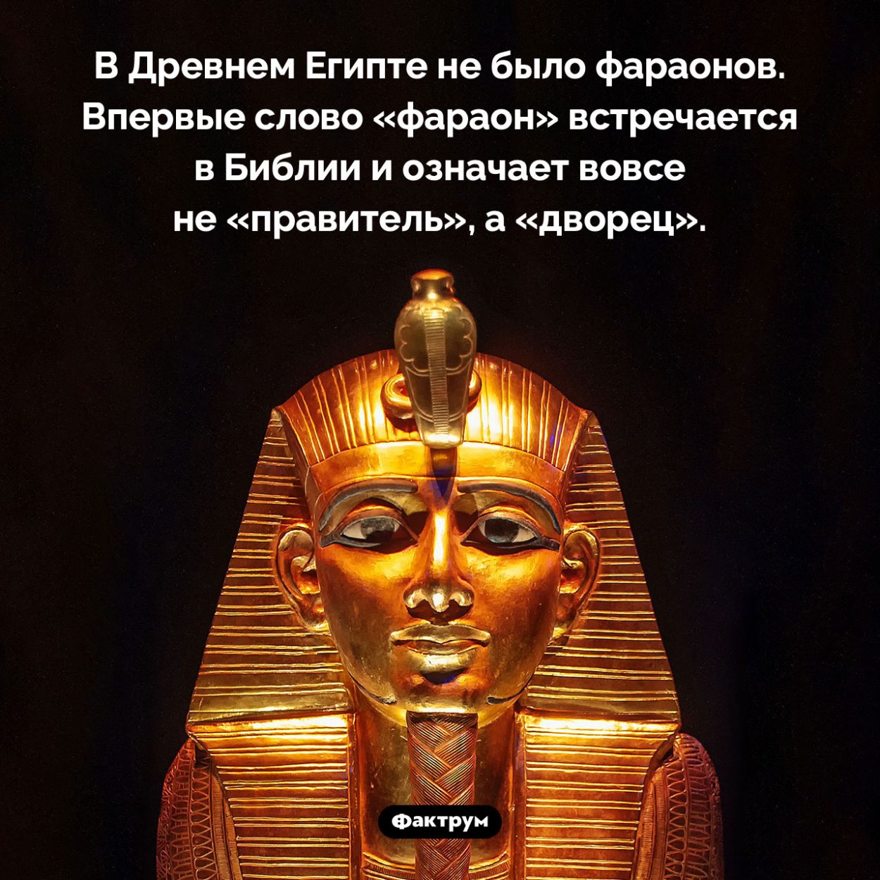 В Древнем Египте не было фараонов. В Древнем Египте не было фараонов. Впервые слово «фараон» встречается в Библии и означает вовсе не «правитель», а «дворец».