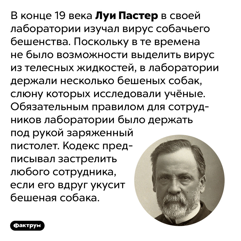 В лаборатории Пастера имелся заряженный пистолет. В конце 19 века Луи Пастер в своей лаборатории изучал вирус собачьего бешенства. Поскольку в те времена не было возможности выделить вирус из телесных жидкостей, в лаборатории держали несколько бешеных собак, слюну которых исследовали учёные. Обязательным правилом для сотрудников лаборатории было держать под рукой заряженный пистолет. Кодекс предписывал застрелить любого сотрудника, если его вдруг укусит бешеная собака.