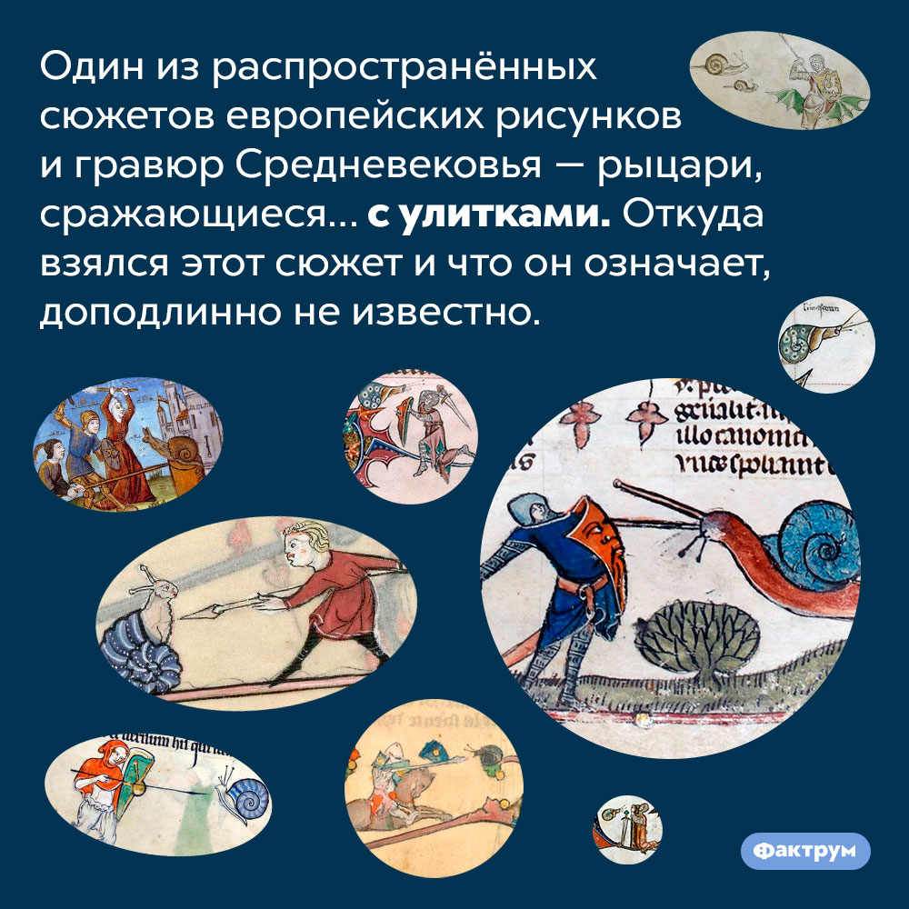 Никто не знает, почему на старинных европейских гравюрах рыцари сражаются с улитками. Один из распространённых сюжетов европейских рисунков и гравюр Средневековья — рыцари, сражающиеся… с улитками. Откуда взялся этот сюжет и что он означает, доподлинно не известно.