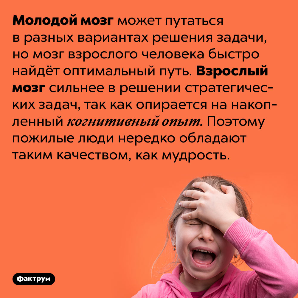 Молодой мозг может путаться в разных вариантах решения задачи. Мозг же взрослого человека быстро найдёт оптимальный путь. Взрослый мозг сильнее в решении стратегических задач, так как опирается на накопленный когнитивный опыт. Поэтому пожилые люди нередко обладают таким качеством, как мудрость.