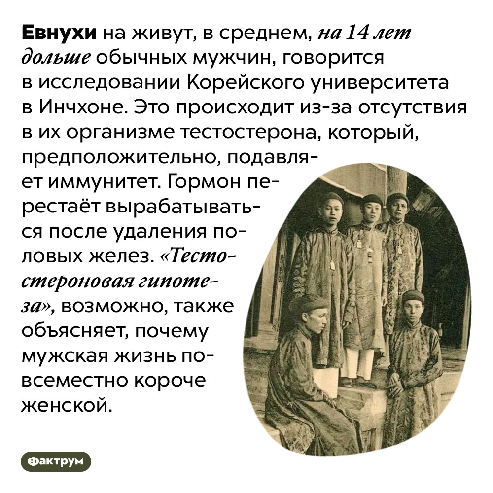Евнух Фото