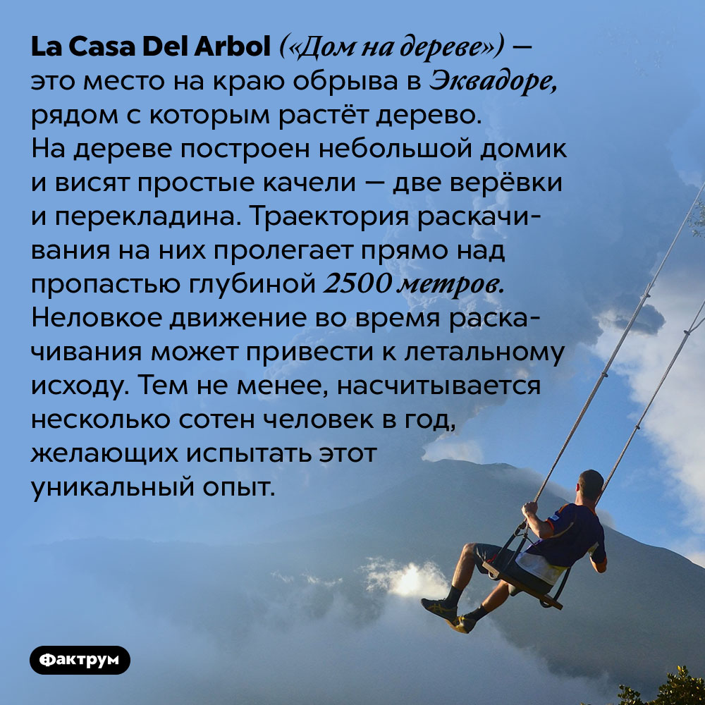 В Эквадоре можно покачаться на качелях над пропастью. La Casa Del Arbol («Дом на дереве») — это место на краю обрыва в Эквадоре, рядом с которым растёт дерево. На дереве построен небольшой домик и висят простые качели — две верёвки и перекладина. Траектория раскачивания на них пролегает прямо над пропастью глубиной 2500 метров. Неловкое движение во время раскачивания может привести к летальному исходу. Тем не менее, насчитывается несколько сотен человек в год, желающих испытать этот уникальный опыт.