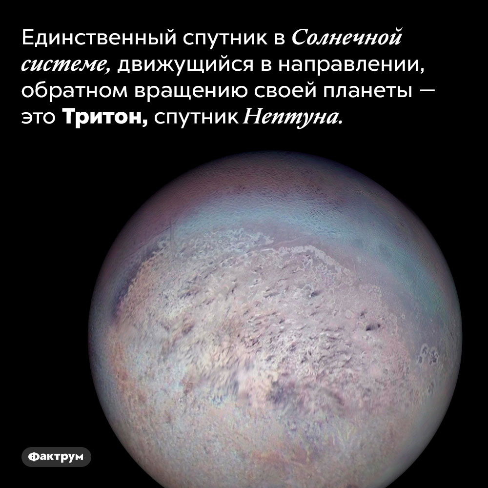 Единственный в своем роде спутник в Солнечной системе. Единственный спутник в Солнечной системе, движущийся в направлении, обратном вращению своей планеты — это Тритон, спутник Нептуна.
