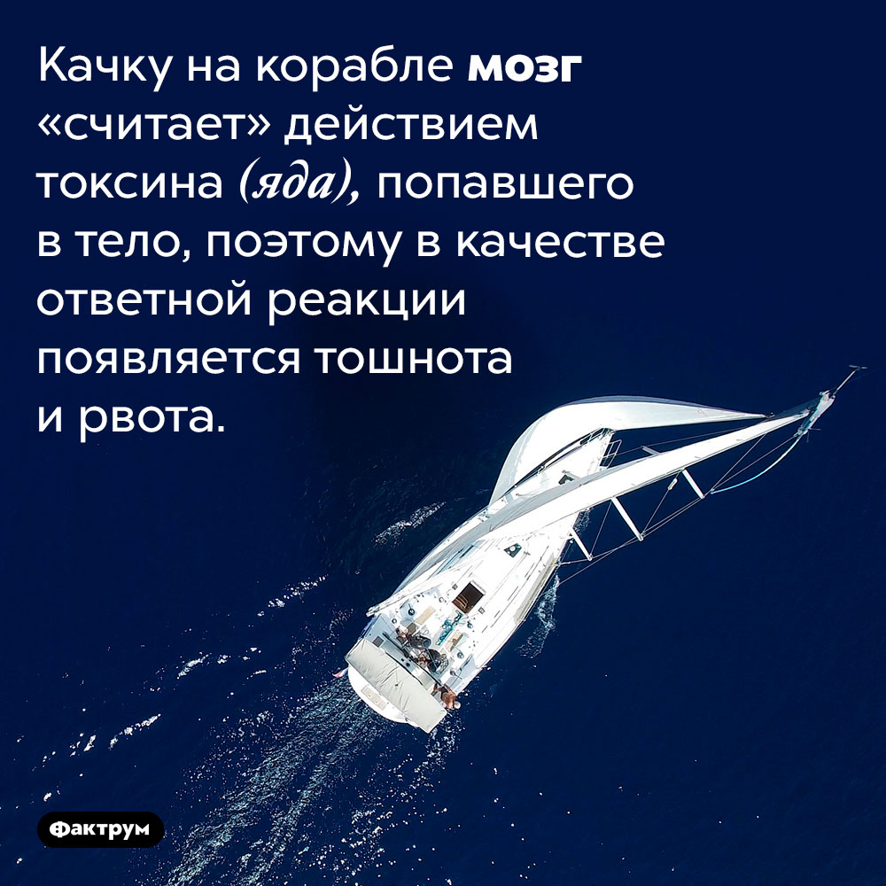 Качку на корабле мозг «считает» действием токсина (яда), попавшего в тело. Поэтому в качестве ответной реакции появляется тошнота и рвота.