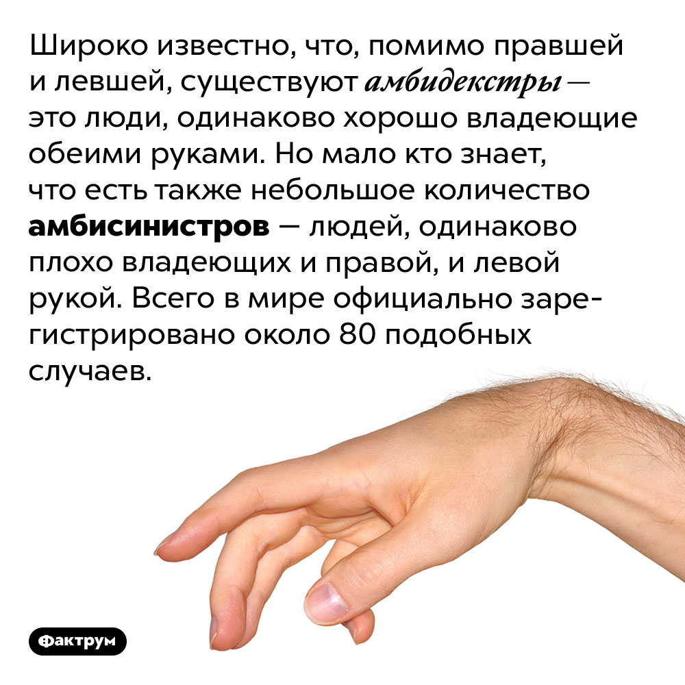 Как называются люди, плохо владеющие своими руками?. Широко известно, что, помимо правшей и левшей, существуют амбидекстры — это люди, одинаково хорошо владеющие обеими руками. Но мало кто знает, что есть также небольшое количество амбисинистров — людей, одинаково плохо владеющих и правой, и левой рукой. Всего в мире официально зарегистрировано около 80 подобных случаев.