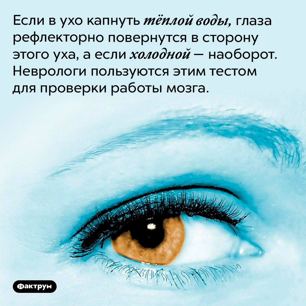 Простой тест проверки работы мозга. Если в ухо капнуть тёплой воды, глаза рефлекторно повернутся в сторону этого уха, а если холодной — наоборот. Неврологи пользуются этим тестом для проверки работы мозга.