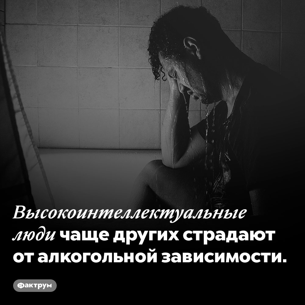 Развитый интеллект коррелирует с наличием алкогольной зависимости. Высокоинтеллектуальные люди чаще других страдают от алкогольной зависимости.