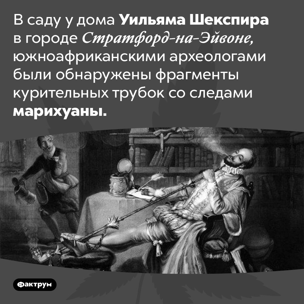 В саду у дома Уильяма Шекспира археологи нашли курительные трубки со следами марихуаны. В саду у дома Уильяма Шекспира в городе Стратфорд-на-Эйвоне, южноафриканскими археологами были обнаружены фрагменты курительных трубок со следами марихуаны.