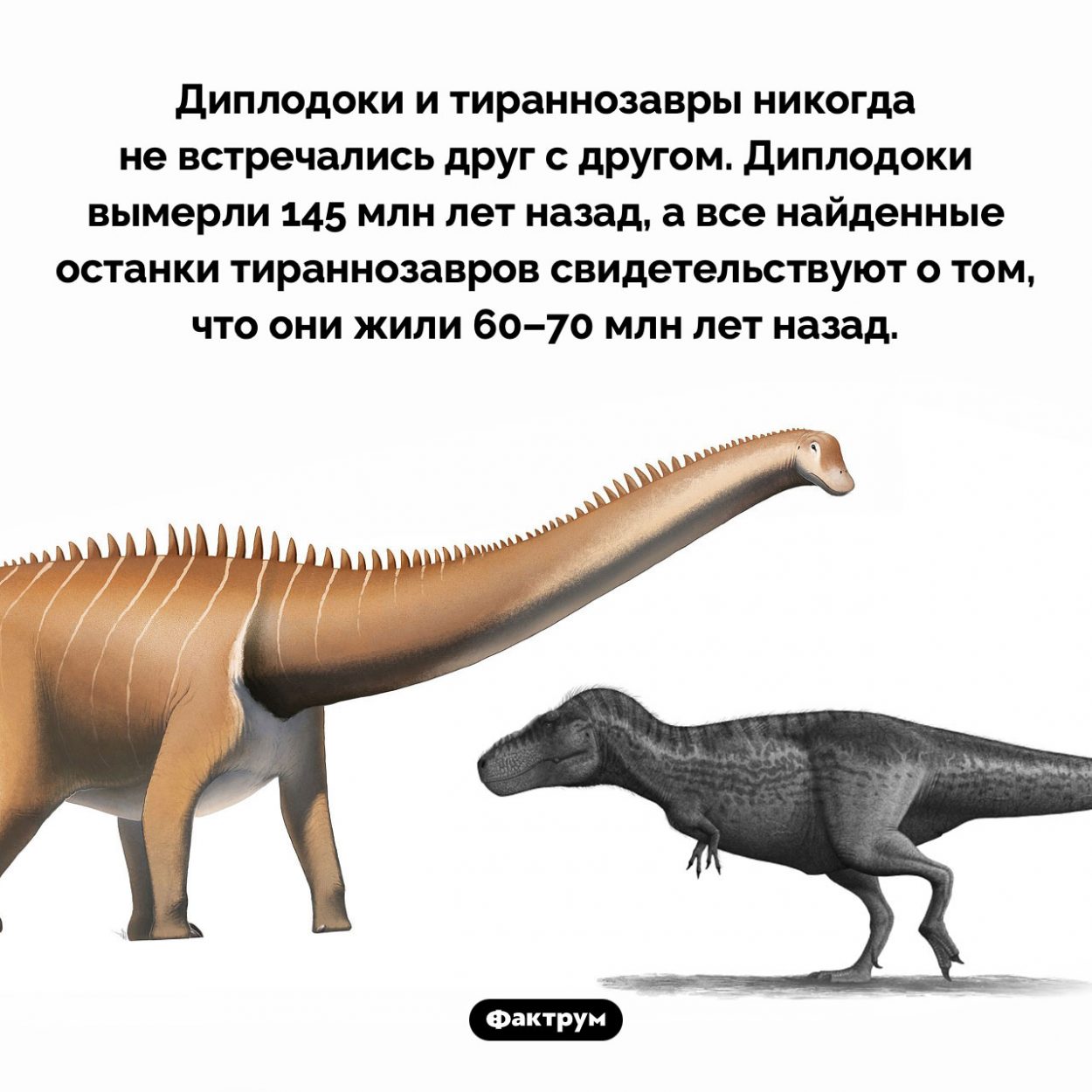 Диплодоки вымерли за 70 млн лет до тираннозавров. Диплодоки и тираннозавры никогда не встречались друг с другом. Диплодоки вымерли 145 млн лет назад, а все найденные останки тираннозавров свидетельствуют о том, что они жили 60–70 млн лет назад.