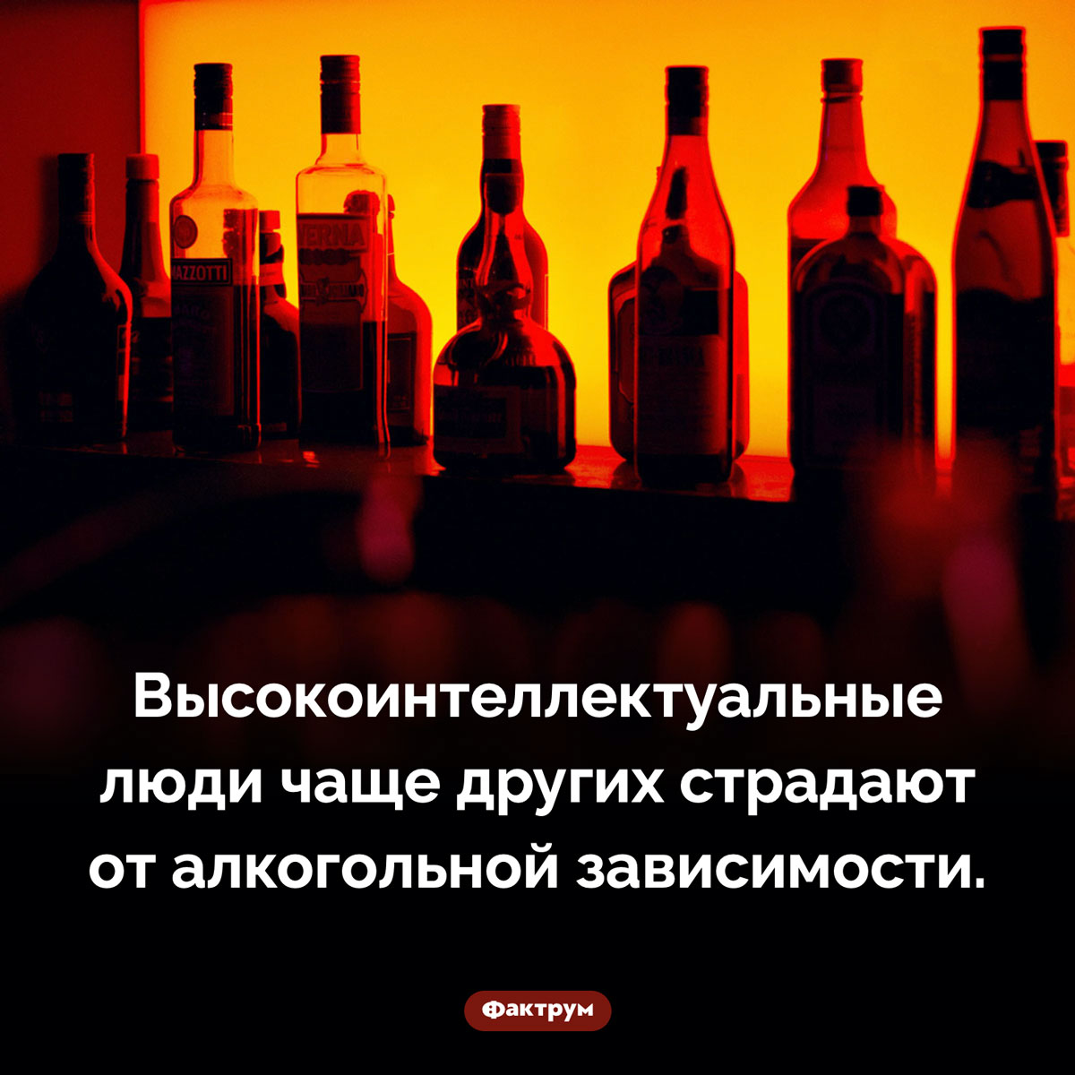 Развитый интеллект коррелирует с наличием алкогольной зависимости. Высокоинтеллектуальные люди чаще других страдают от алкогольной зависимости.