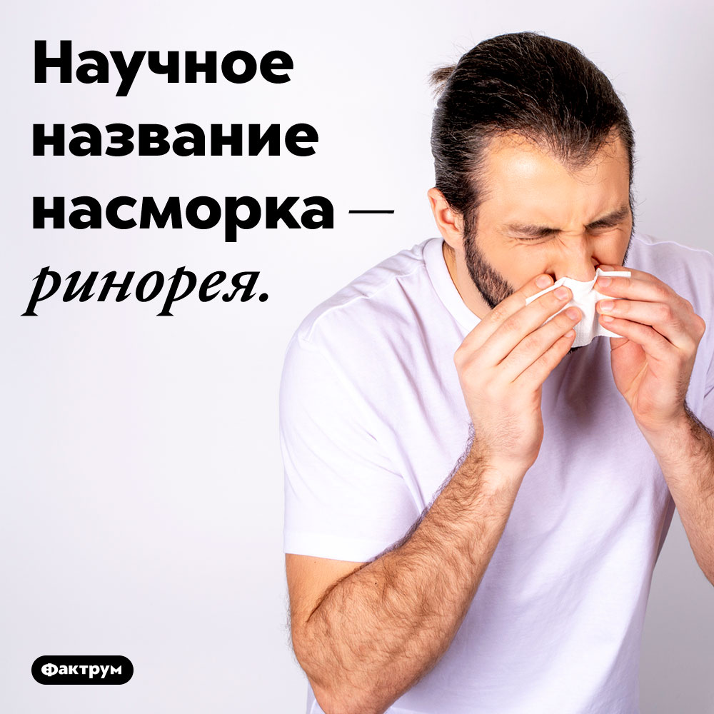 Насморк — это ринорея. Научное название насморка — ринорея.