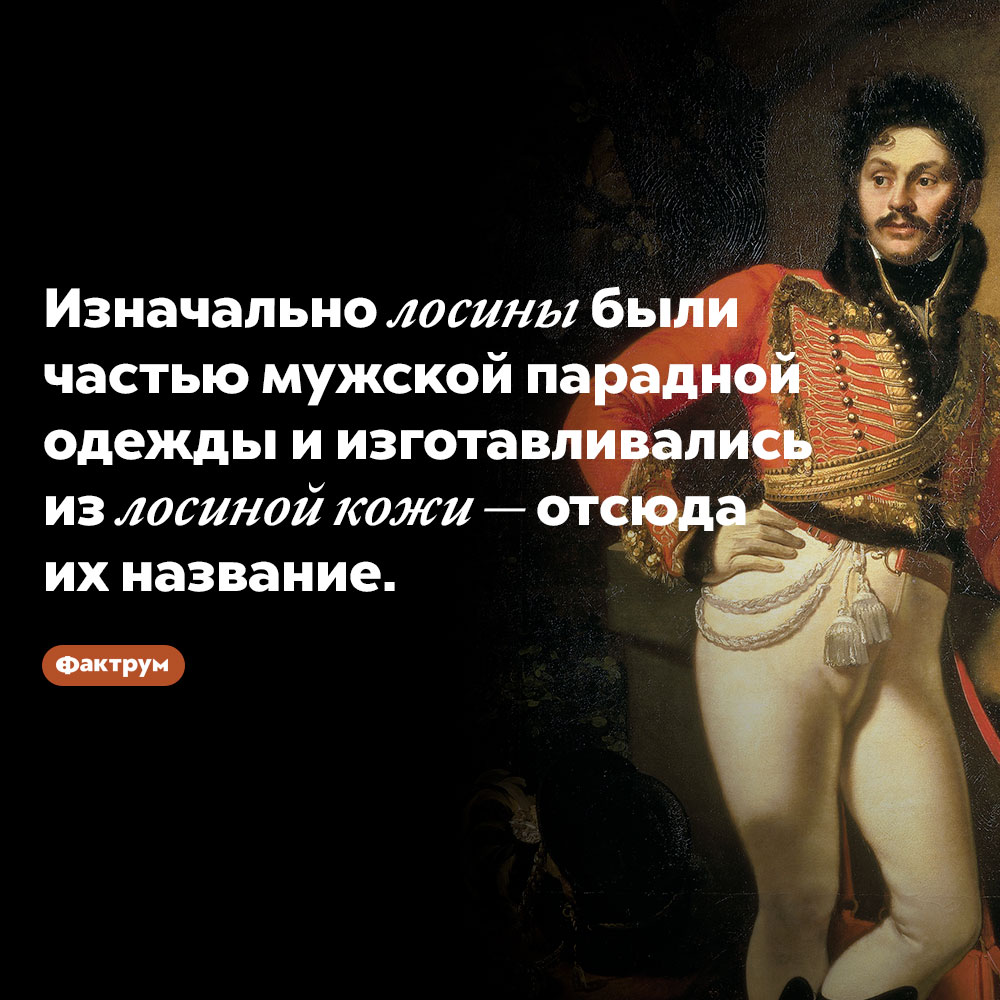 Лосины получили название в честь лосей. Изначально лосины были частью мужской парадной одежды и изготавливались из лосиной кожи — отсюда их название.