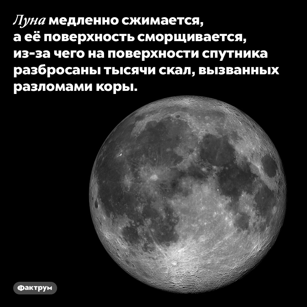 Луна сжимается. Луна медленно сжимается, а её поверхность сморщивается, из-за чего на поверхности спутника разбросаны тысячи скал, вызванных разломами коры.